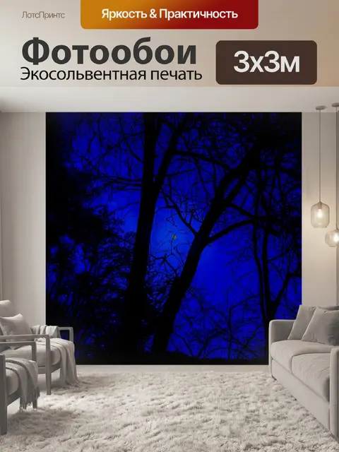 Фотообои Ночная съемка