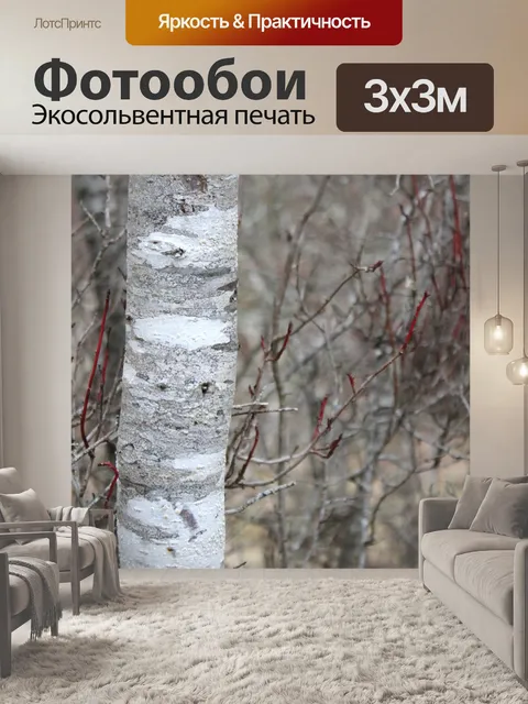 Фотообои Березка