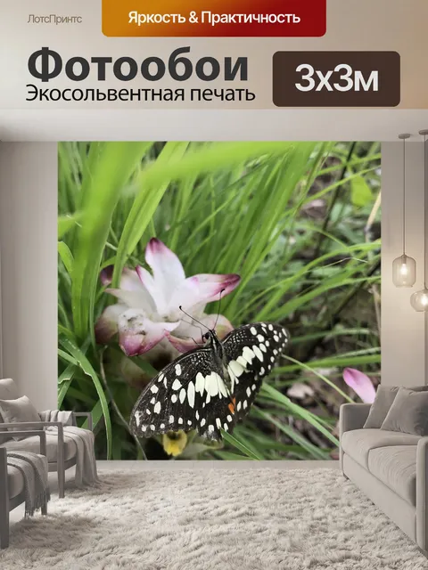 Фотообои Бабочки