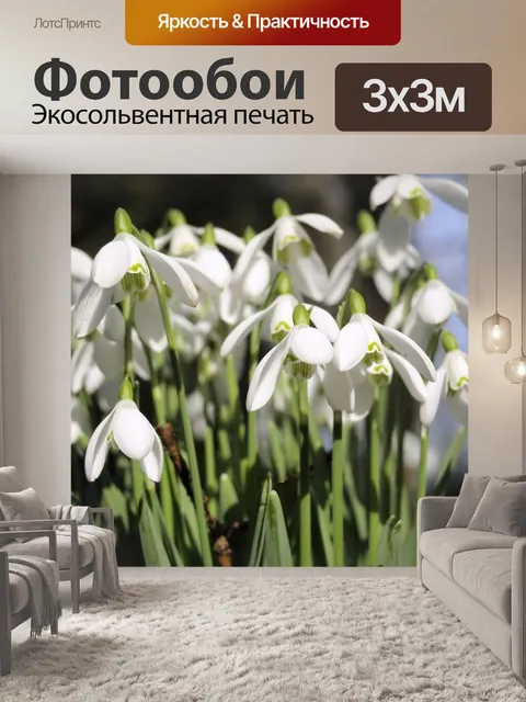 Фотообои Весна