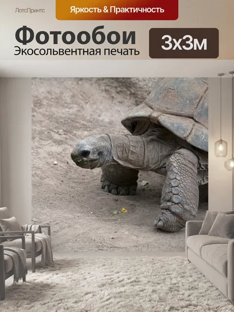 Фотообои Большая Черепаха