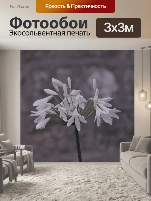 Фотообои Белый цветок, подснежник