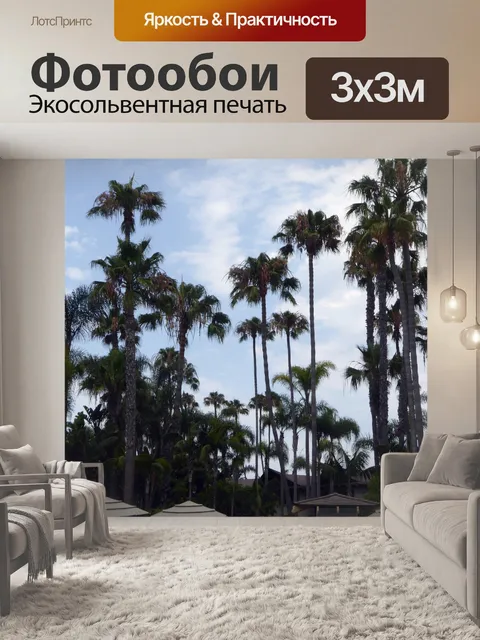 Фотообои Силуэты пальмовых деревьев