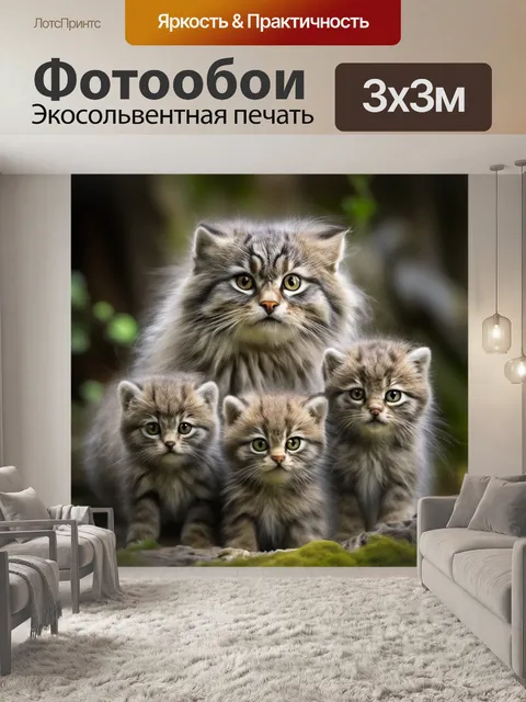 Фотообои Дикий кот Манул и котята