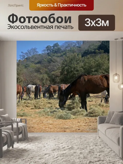 Фотообои вид группы пасущихся лошадей