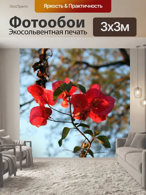 Фотообои спрей красного бугенвилии