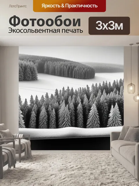 Фотообои зимний пейзаж с окна чернобелый