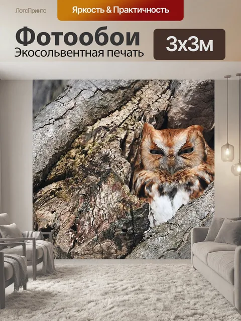 Фотообои Сова
