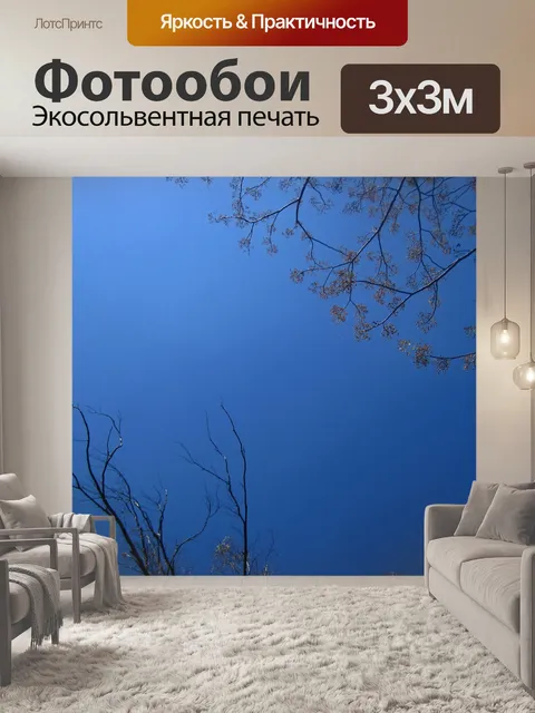 Фотообои верхушки деревьев на фоне голубого неба