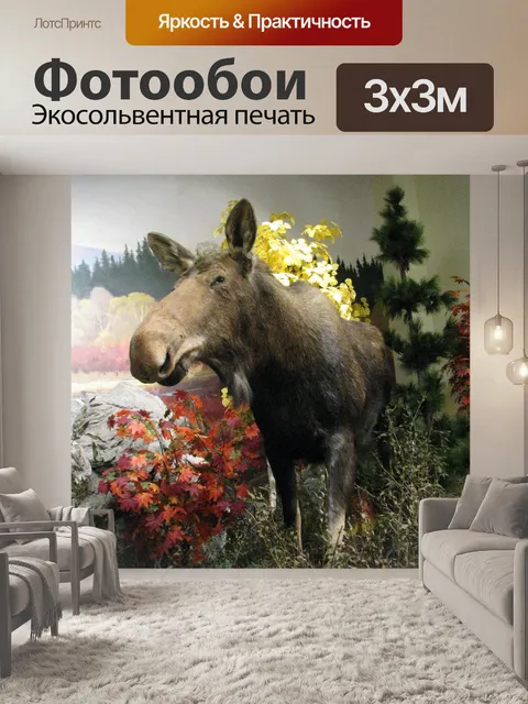 Фотообои лось