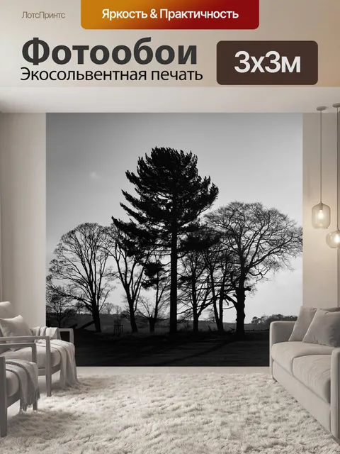 Фотообои Деревья без листьев