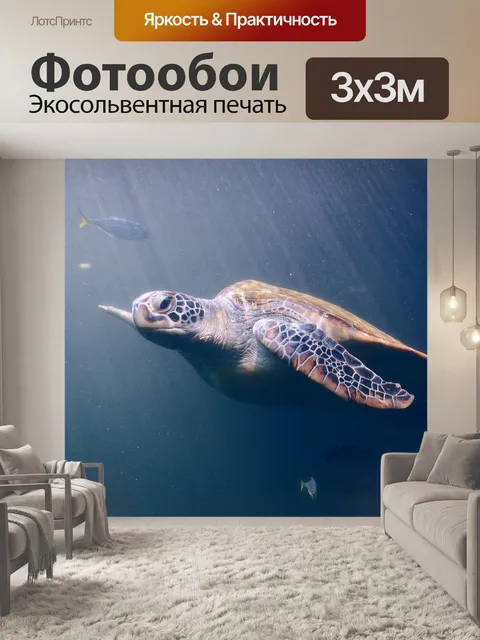 Фотообои Черепаха
