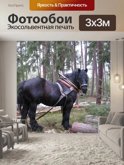 Фотообои Лошадь
