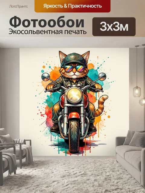 Фотообои Кот-мотоциклист в очках