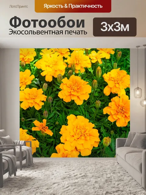 Фотообои Китайской гвоздики