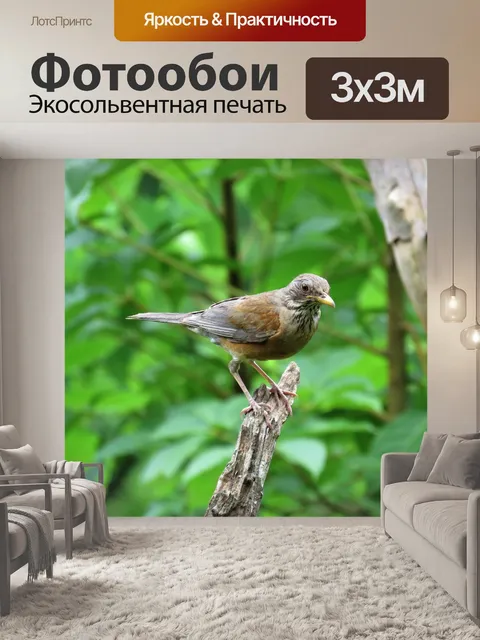 Фотообои Тропическая птица