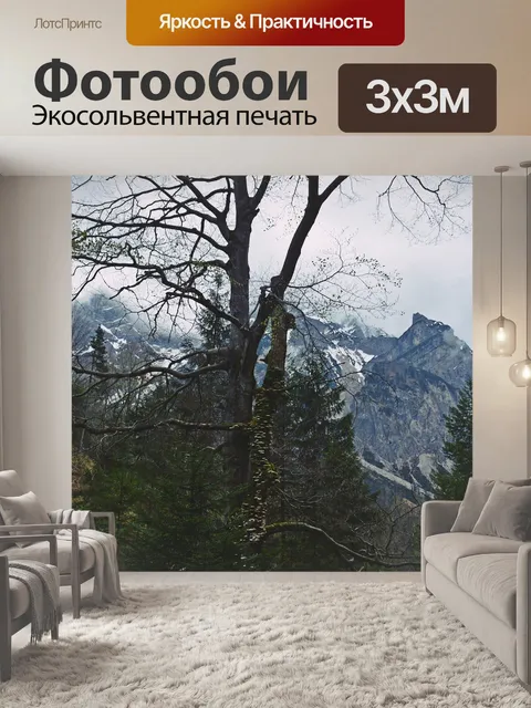 Фотообои Горный лес