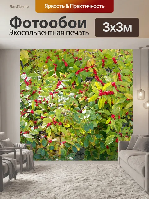 Фотообои Буш с красными ягодами