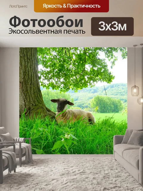 Фотообои Овец
