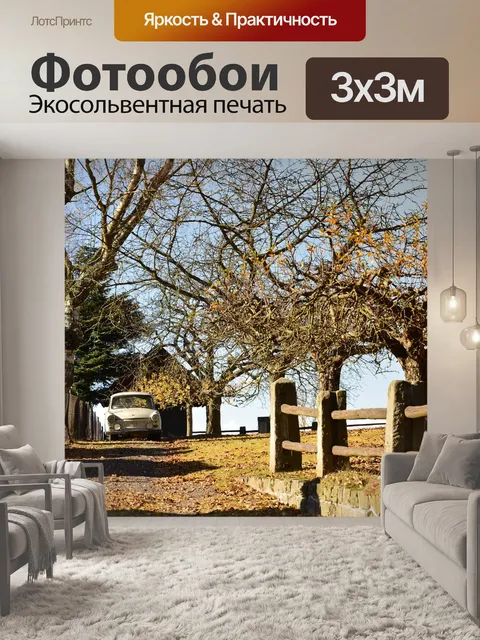 Фотообои Трабант