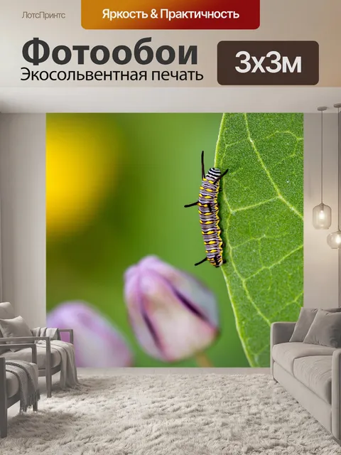 Фотообои Ттт
