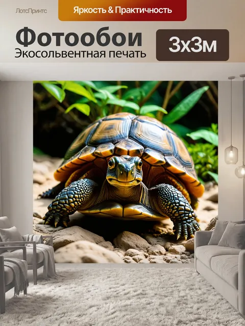 Фотообои черепашки, обучающиеся магии