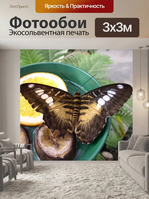 Фотообои Бабочка