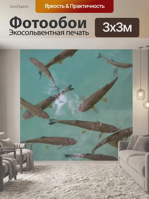 Фотообои Рыбы