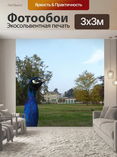 Фотообои Сад