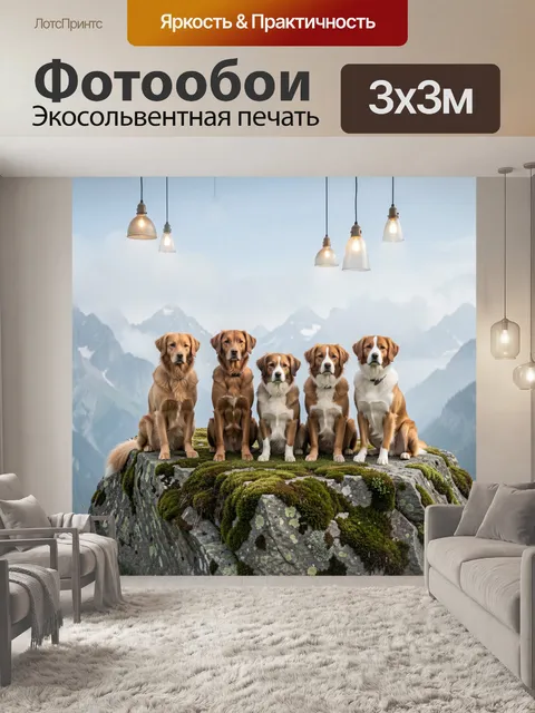 Фотообои Пять собак на горном утесе