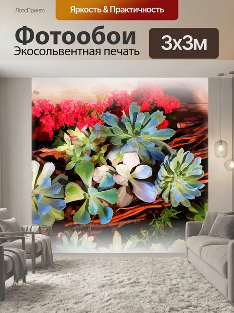 Фотообои суккуленты