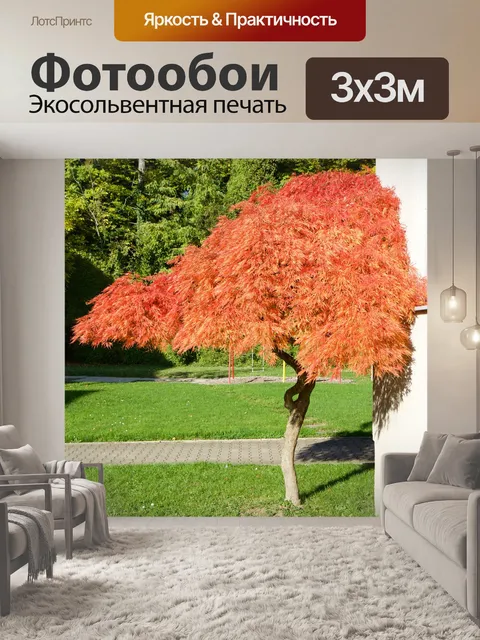 Фотообои Природа