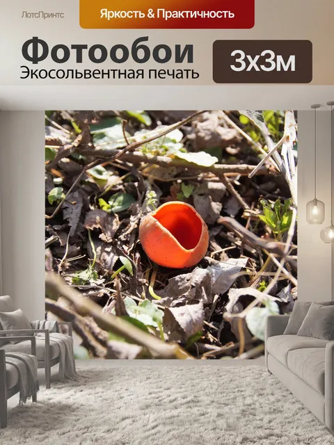 Фотообои Австрийский светлячок