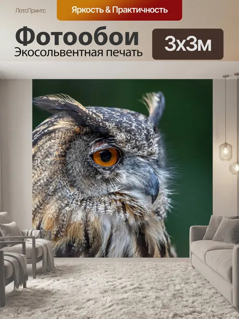 Фотообои Птица
