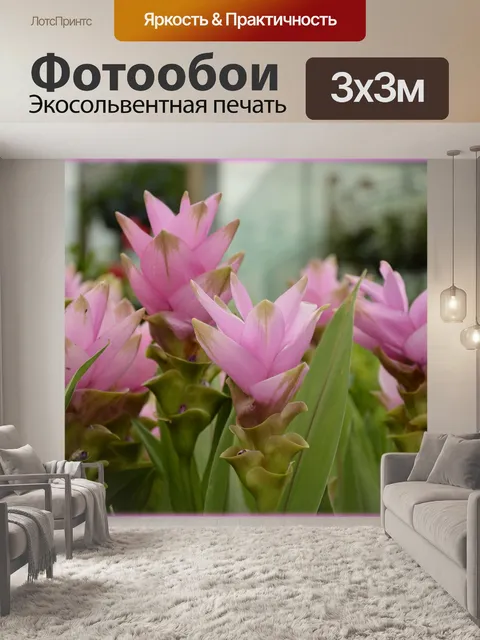 Фотообои Голландские цветы в саду