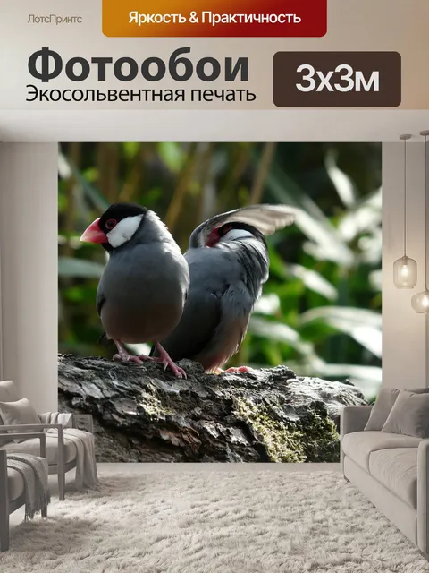 Фотообои Птицы
