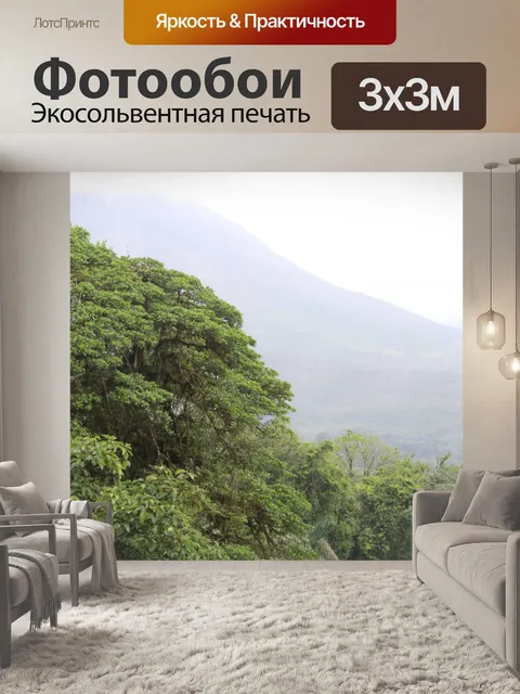Фотообои Коста-Рика Джунгли Форест