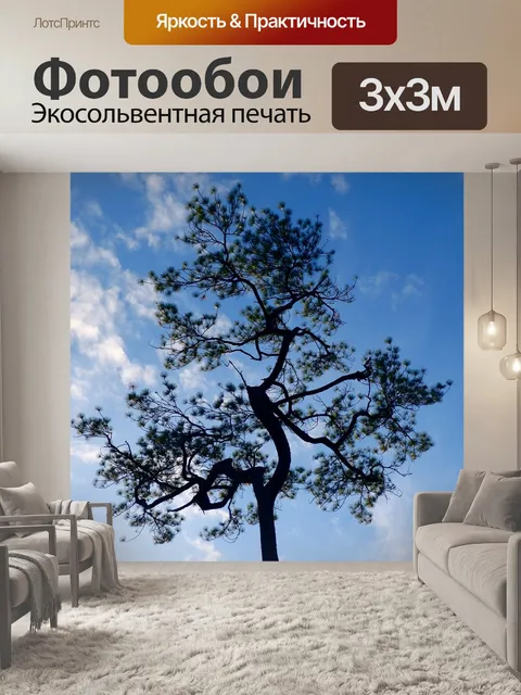 Фотообои Сосна