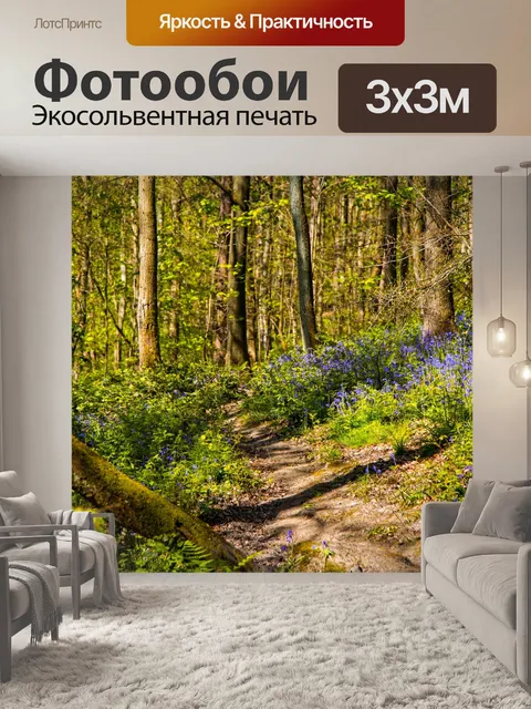 Фотообои Лес в Скиптоне