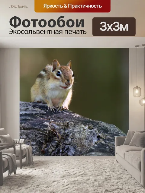 Фотообои Животное