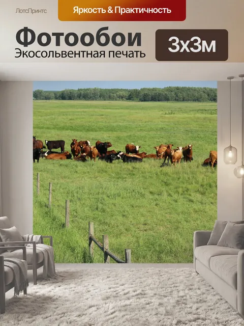 Фотообои Стадо коров и лошадей пастбищ