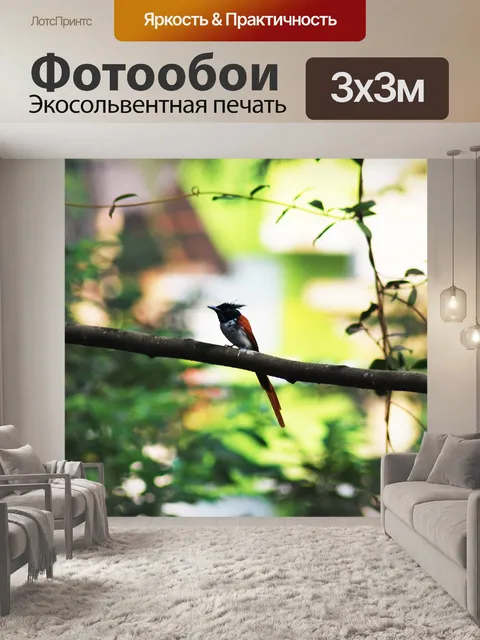 Фотообои Птица Гоа