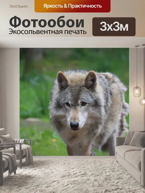 Фотообои Волк