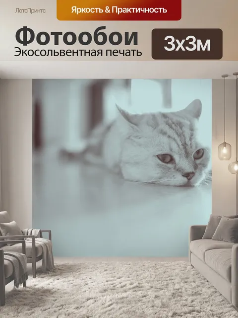 Фотообои Домашний питомец