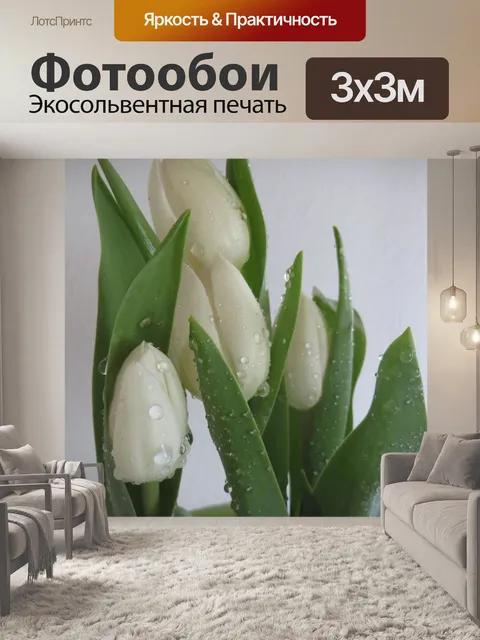 Фотообои Белые тюльпаны