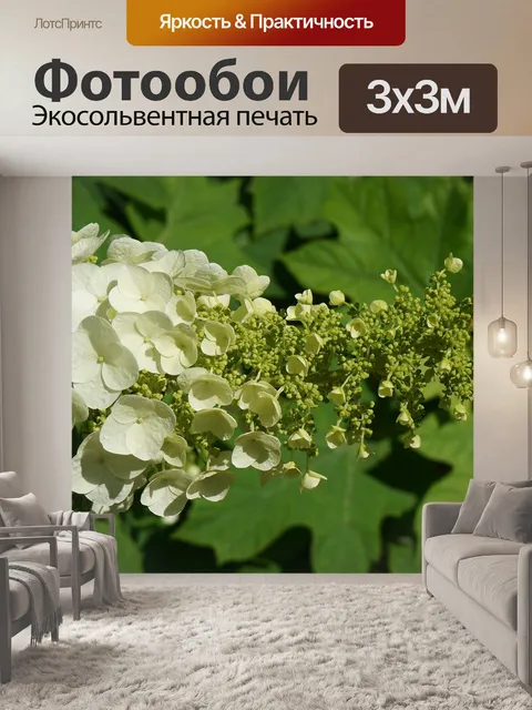 Фотообои Дубовая гортензия
