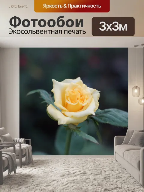 Фотообои Желтая роза