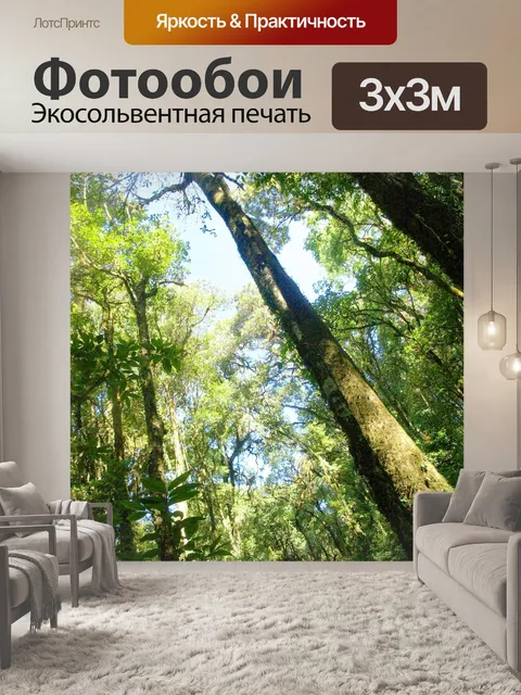 Фотообои Природа тропический лес дои Интанон наци