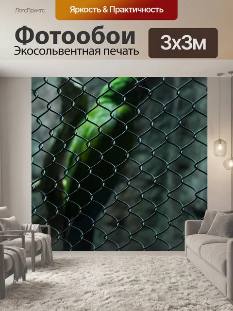 Фотообои Попугай
