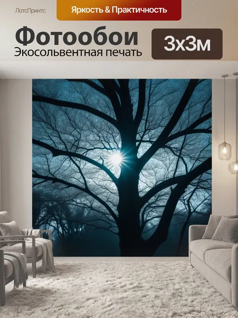 Фотообои солнце, проблескивающее сквозь ветви деревьев